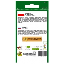 Nasiona Ślazówka pnos890