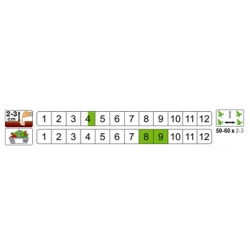 nasiona Słonecznik ogrodowy pnos391