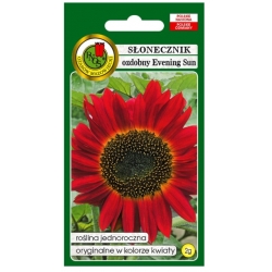Nasiona Słonecznik ozdobny Evening Sun pnos871