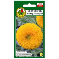 Nasiona Słonecznik ozdobny Sonnengold pnos872