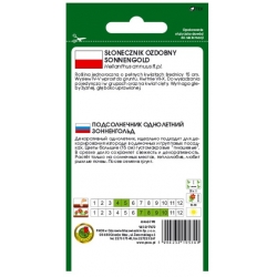 Nasiona Słonecznik ozdobny Sonnengold pnos872