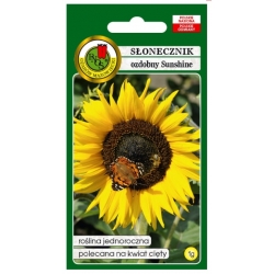 Nasiona Słonecznik ozdobny Sunshine pnos873