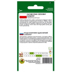 Nasiona Słonecznik ozdobny Sunspot pnos874