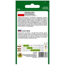 Nasiona Smagliczka Benthami biała pnos875