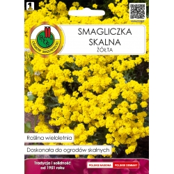 Nasiona Smagliczka skalna żółta pnos877