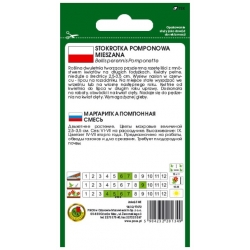 Nasiona Stokrotka pomponette mieszana pnos878