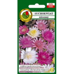 Nasiona Suchokwiat nieśmiertelnik pnos880