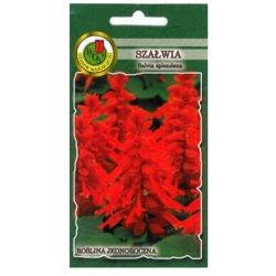 Nasiona Szałwia błyszcząca czerwona pnos882