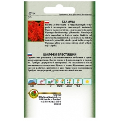 Nasiona Szałwia błyszcząca czerwona pnos882