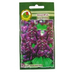 Nasiona Szałwia błyszcząca Luna fiolet pnos883