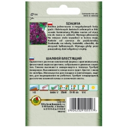 Nasiona Szałwia błyszcząca Luna fiolet pnos883