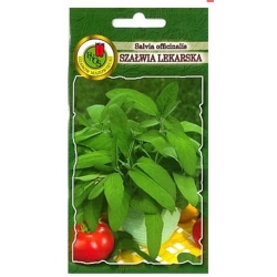 Nasiona Rumianek pospolity pnos553