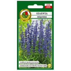 Nasiona Szałwia omączona fiolet pnos885