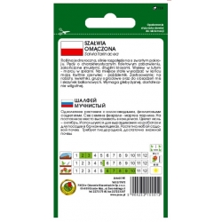 Nasiona Szałwia omączona fiolet pnos885