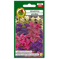Nasiona Szałwia powabna mieszana pnos886