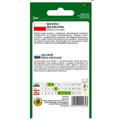 Nasiona Szałwia szkarłatna czerwona pnos887