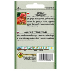 Nasiona Szarłat trójbarwny Molten Fire pnos888