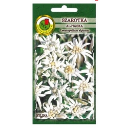Nasiona Szarotka alpejska pnos889