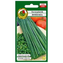 nasiona Szczypiorek Bohemia pnos394