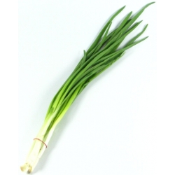 nasiona Szczypiorek Wulkan pnos396