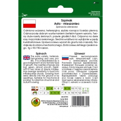 nasiona Szpinak Asta pnos398
