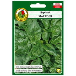 nasiona Szpinak Matador pnos399