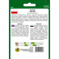 nasiona Szpinak Matador pnos399