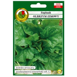 nasiona Szpinak Olbrzym Zimowy pnos402