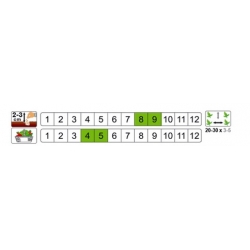 nasiona Szpinak Olbrzym Zimowy pnos402