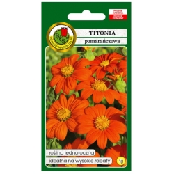 Nasiona Titonia pomarańczowa pnos891