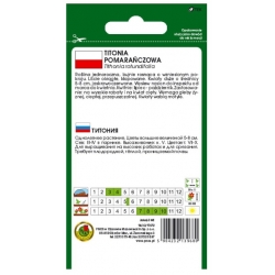 Nasiona Titonia pomarańczowa pnos891