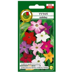 Nasiona Tytoń ozdobny mieszany pnos895