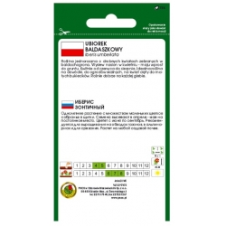 Nasiona Ubiorek baldaszkowy lila pnos896