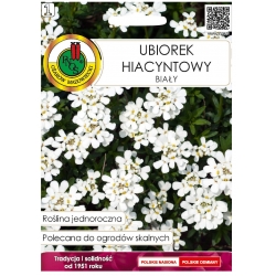 Nasiona Ubiorek hiacyntowy biały pnos898