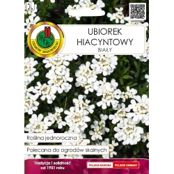 Nasiona Ubiorek hiacyntowy biały pnos898