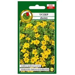 Nasiona Uczep żółty pnos900