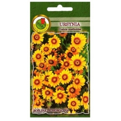 Nasiona Ursynia pomarańczowa pnos901