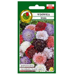 Nasiona Wdówka drakiew letnia pnos903