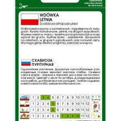 Nasiona Wdówka drakiew letnia pnos903