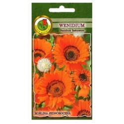 Nasiona Wenidium pomarańczowe pnos904