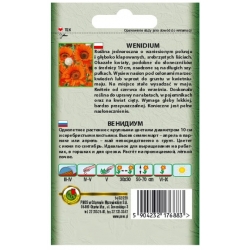 Nasiona Wenidium pomarańczowe pnos904