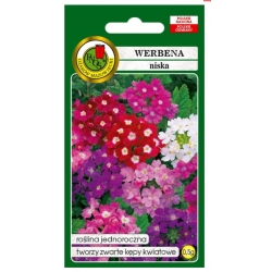 Nasiona Werbena niska mieszana pnos905