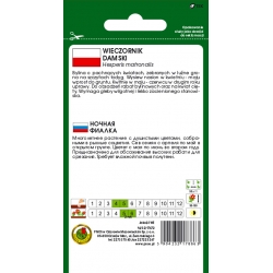 Nasiona Wieczornik lilaniebieski pnos907