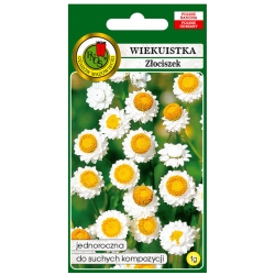 Nasiona Wiekuistka biała pnos908