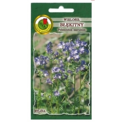 Nasiona Wielosił błękitny pnos909