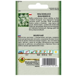 Nasiona Wilczomlecz białobrzegi pnos911