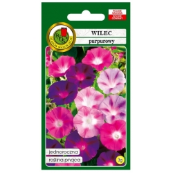 Nasiona Wilec mieszany pnos912