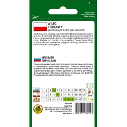 Nasiona Wilec pierzasty czerwony pnos913