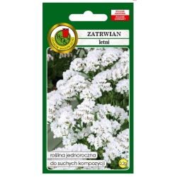 Nasiona Zatrwian letni Iceberg biały pnos918