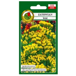 Nasiona Zatrwian letni Gold Coast żółty pnos916
